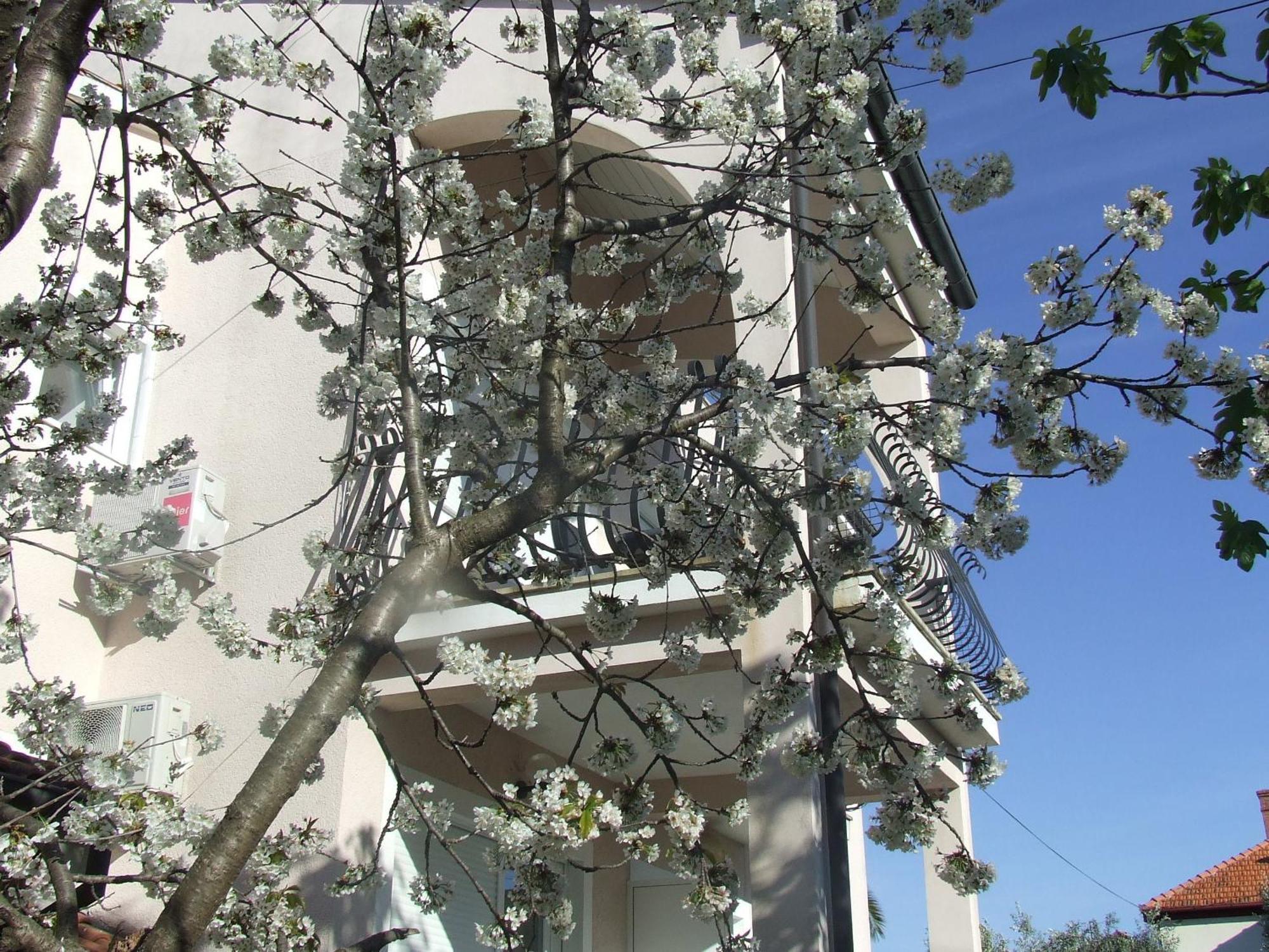 Villa Dalmatia Zadar Zimmer foto