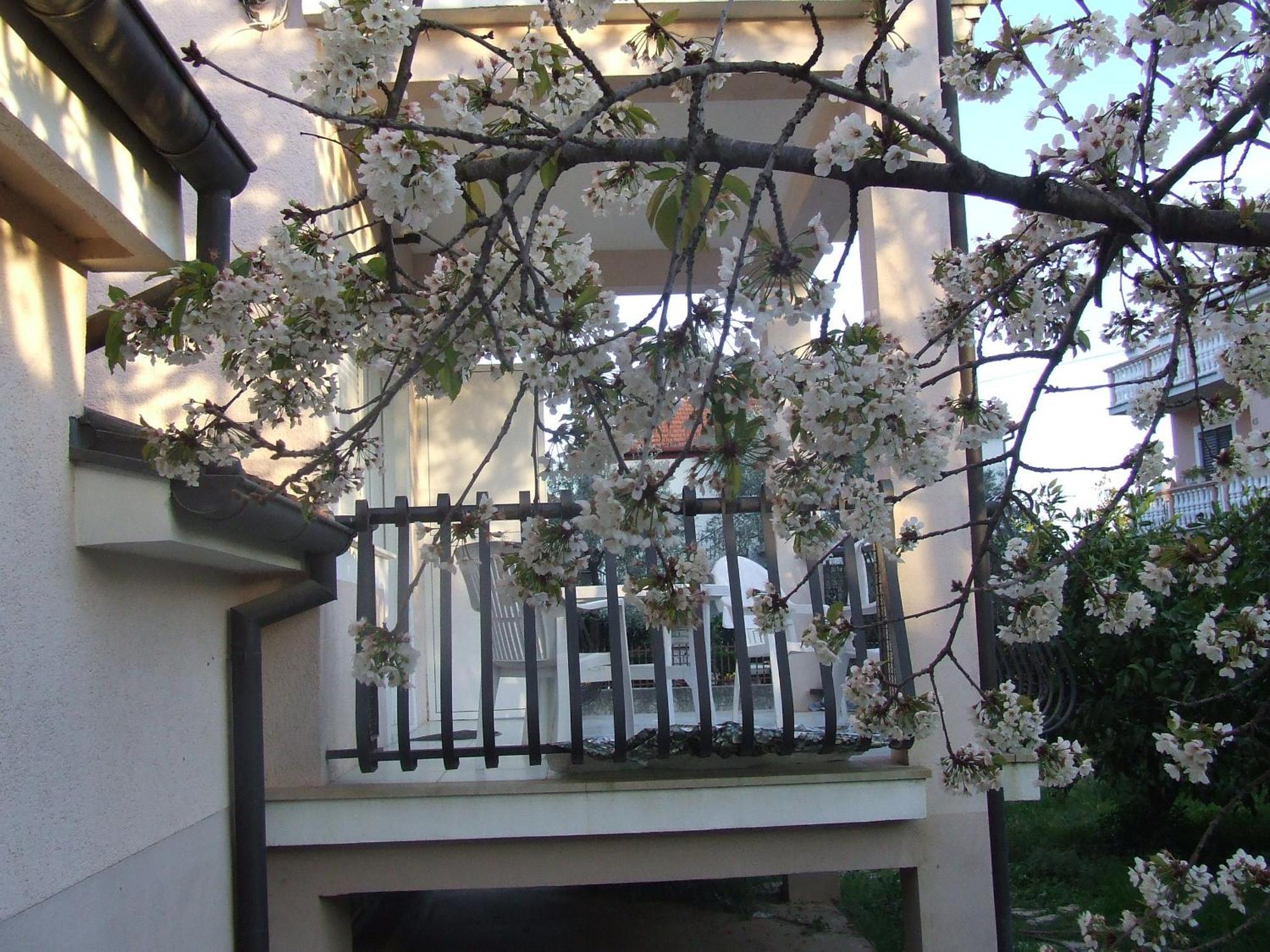 Villa Dalmatia Zadar Zimmer foto